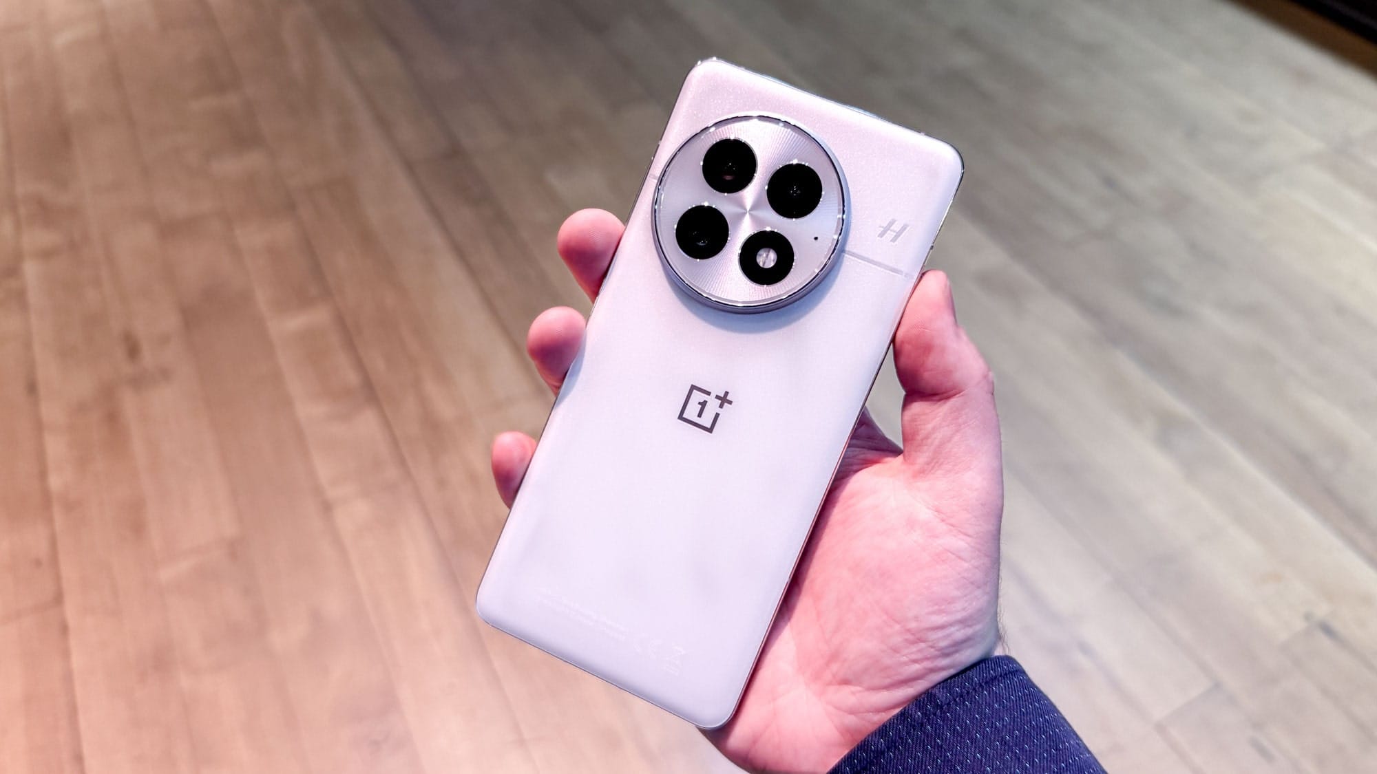 OnePlus 13